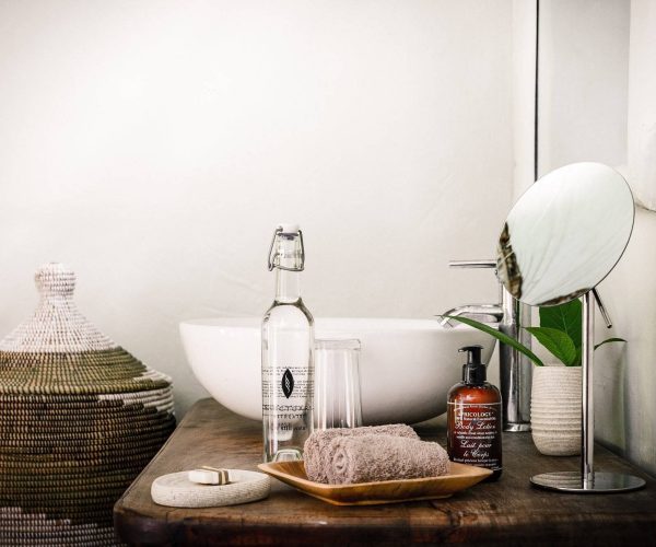 sanctuary-gorilla-forest6