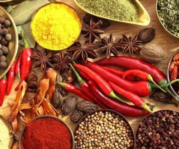 seyyida-et-pongwe-10-qqnztwegeqfuikconetcyvyi3cbhgurae678mdzm2k