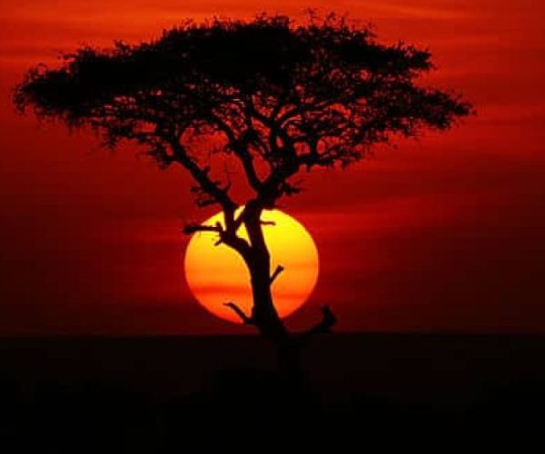 stand_1311191741-r9m017sweola12bv8lx8gir3tpo60xdkulwyg7bddo