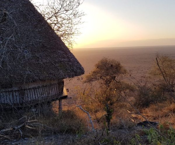 swala-safari-12-qqnzva7wgyc1lwcbkicl51dxkrhxst9290rz21xqws