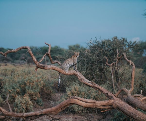 tucker-tangeman-ZVZCmk0jLXg-unsplash