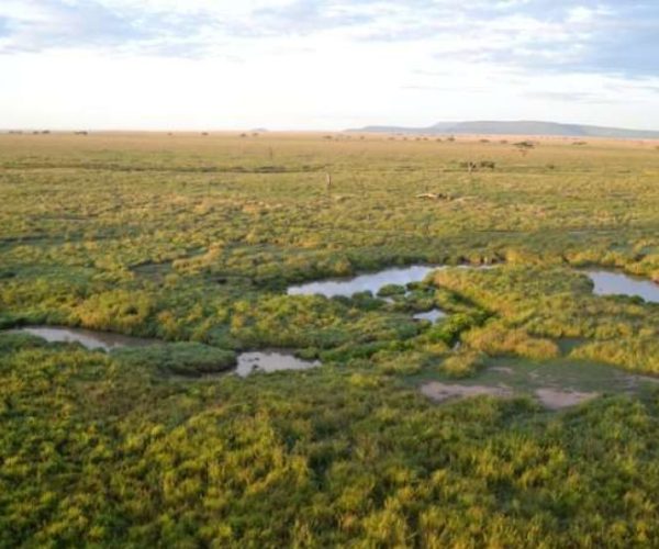 twiga-2-qqo0a522hoo740rftfjb1sf7l09sgl8byjz94hwqkc