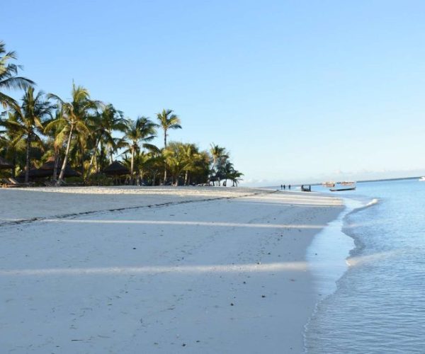 twiga-7-qqo0a7vl26s22unccyr6r9pld5vw3ojiyxxpkbsk1o