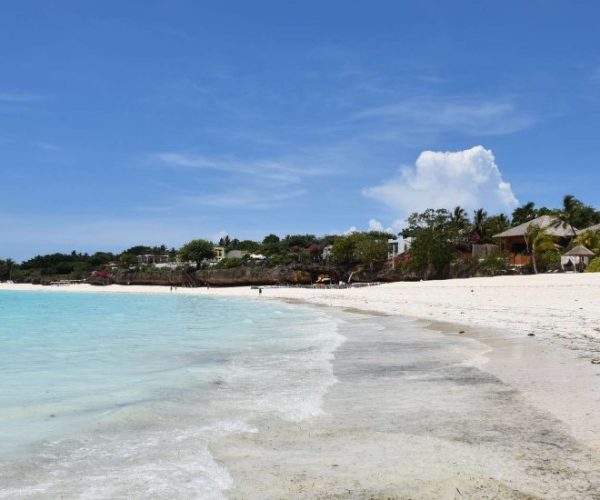 twiga-8-qqo0a8tf90tceglz7h5tbrh1yjr9bdn9b2l71lr5vg