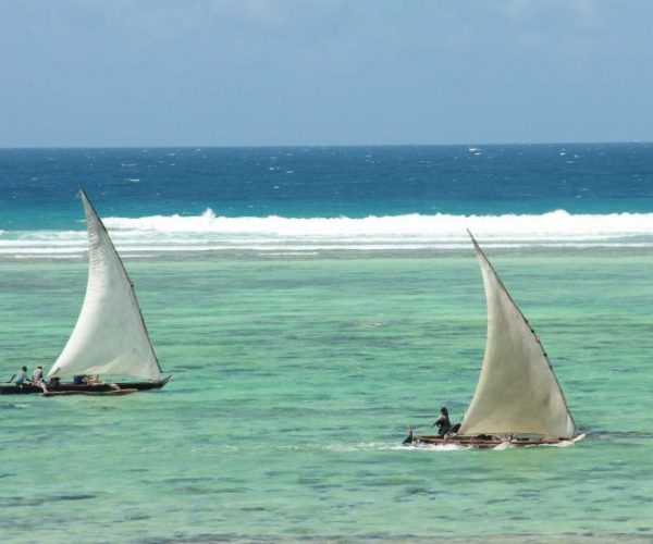 twiga-9-qqo0a9r9fuumq2km1zkfw98ijxmmj2qzn78oivprp8