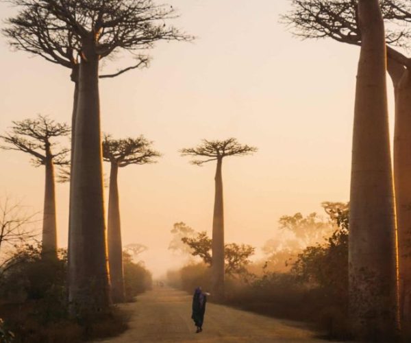 yasmine-arfaoui-G40jEUyEsEk-unsplash-scaled-qqo0crzrnya5omxjf2kmjmgrkx9v20p7zlvalfzz3w